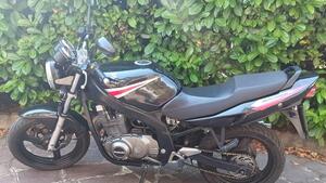 Suzuki GS 500 (2001 - 06)