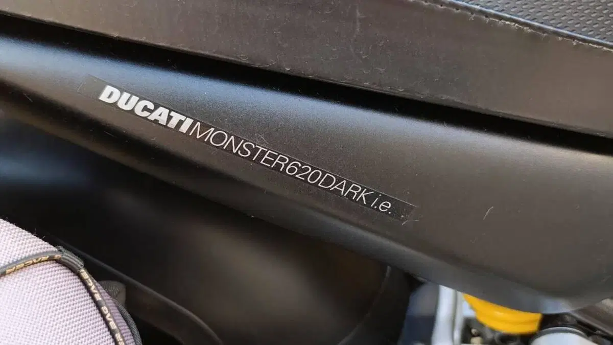 Ducati Monster 620 I.E. Dark (2002)  (5)