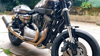 Harley-Davidson 1200 XR (2009 - 12) usata