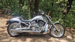 Harley-Davidson 1130 V-Rod (2002 - 05) - VRSCA 
