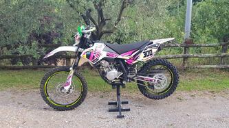 Betamotor RR 125 4T Enduro LC (2010 - 15) usata