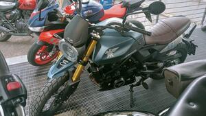 Moto Morini SEIEMMEZZO SCR (2022 - 25) 