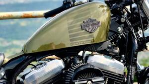 Harley-Davidson 1200 Forty-Eight (2016 - 20) 
