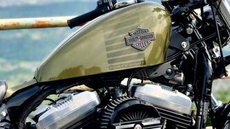 Harley-Davidson 1200 Forty-Eight (2016 - 20)