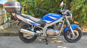 Suzuki GS 500 (2001 - 06) usata