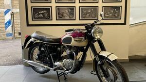 Triumph  