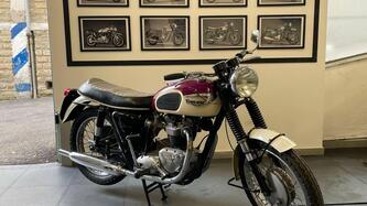 Triumph 