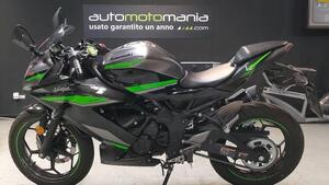 Kawasaki Ninja 125 Performance (2021 - 24) 