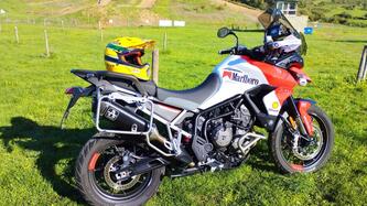 Triumph Tiger 900 GT Aragón Edition (2023 - 24) usata