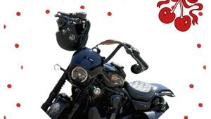 Harley-Davidson Nightster Special (2023 - 25) 