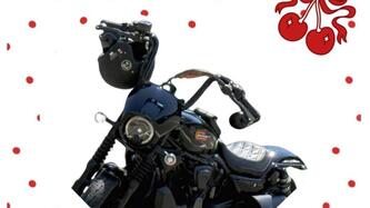 Harley-Davidson Nightster Special (2023 - 25) usata