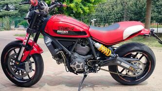 Ducati Scrambler 800 Icon (2015 - 16)