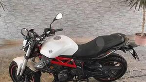 Benelli BN 302 (2017 - 19) 