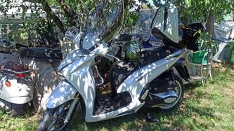Honda SH 350 Sport (2021 - 24) usata