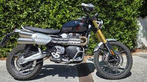 Triumph Scrambler 1200 XE (2024 - 25) 