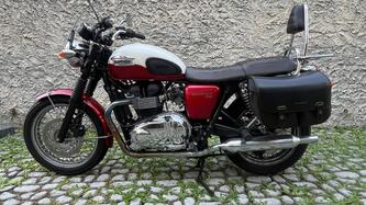 Triumph Bonneville T100 (2008 - 16)