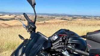 Kawasaki Z 900 (2021 - 24) usata
