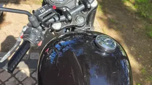 Triumph Bonneville T100 (2008 - 16)  (2)