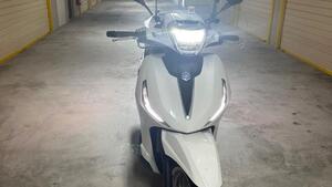 Piaggio Beverly 300 ABS-ASR (2021 - 25) 
