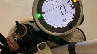Ducati Scrambler 800 Icon (2015 - 16)