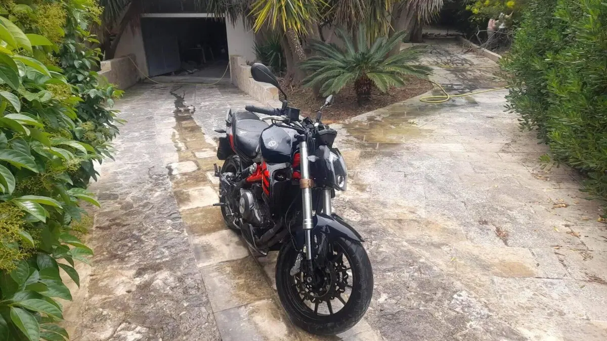 Benelli BN 302 S (2019 - 20)  (2)