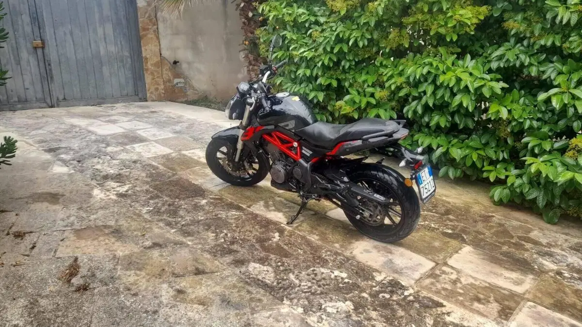 Benelli BN 302 S (2019 - 20)  (3)