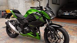 Kawasaki Z 300 ABS (2015 - 16) 