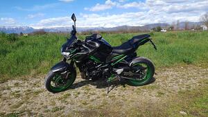 Kawasaki Z 900 SE Performance (2023 - 24) 