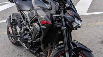 Kawasaki Z 900 (2020)