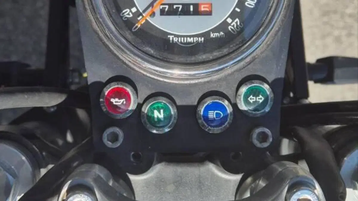 Triumph Bonneville 800 (2002 - 07)  (3)