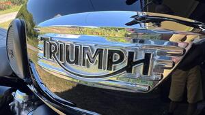 Triumph Scrambler (2006 - 17) 