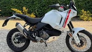 Ducati DesertX (2022 - 25) 