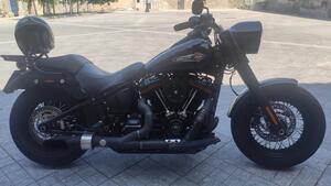 Harley-Davidson 107 Slim (2018 - 20) - FLSL 
