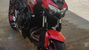 Kawasaki Z 650 50th Anniversary (2022 - 23) 