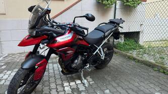 Triumph Tiger 900 GT Pro (2020 - 23) usata