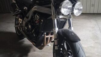 Triumph Speed Triple 955 (2002 - 04) usata