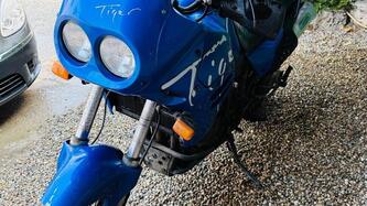 Triumph Tiger 900