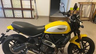 Ducati Scrambler 800 Icon (2017 - 20) usata