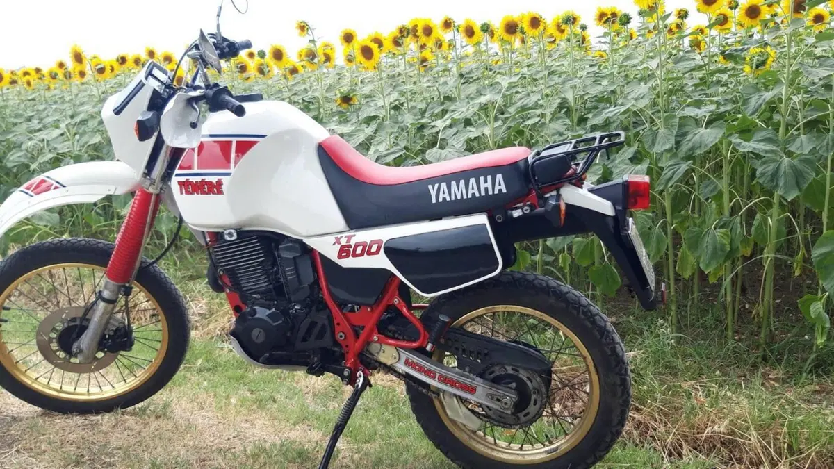 Yamaha   (2)