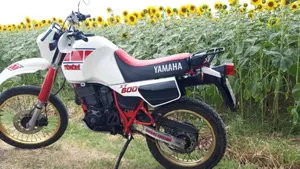 Yamaha   (2)