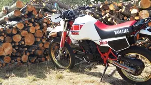 Yamaha   (4)