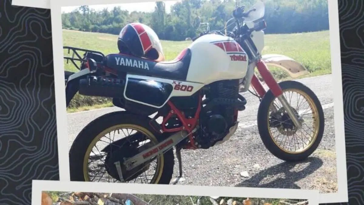 Yamaha   (6)