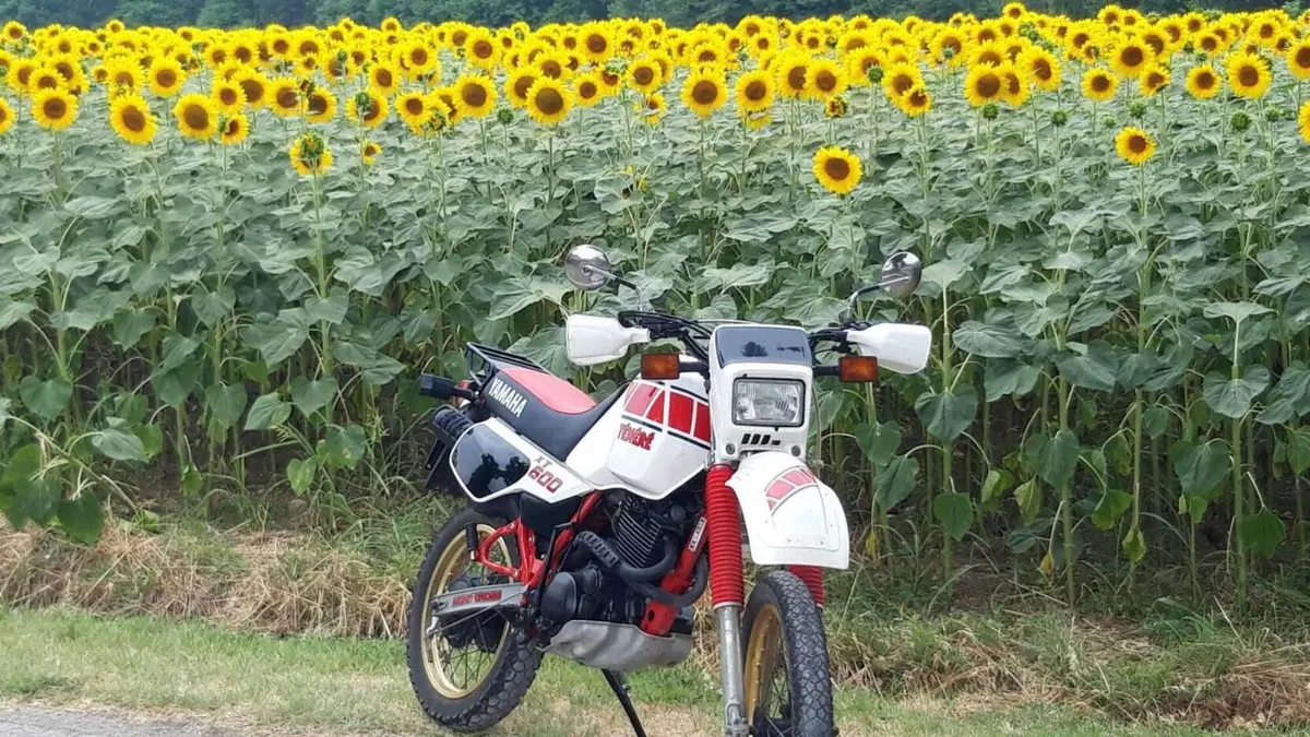 Yamaha  