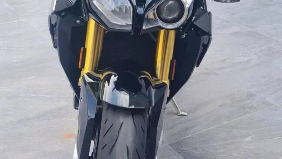 Bmw S 1000 R (2017 - 20)  (2)