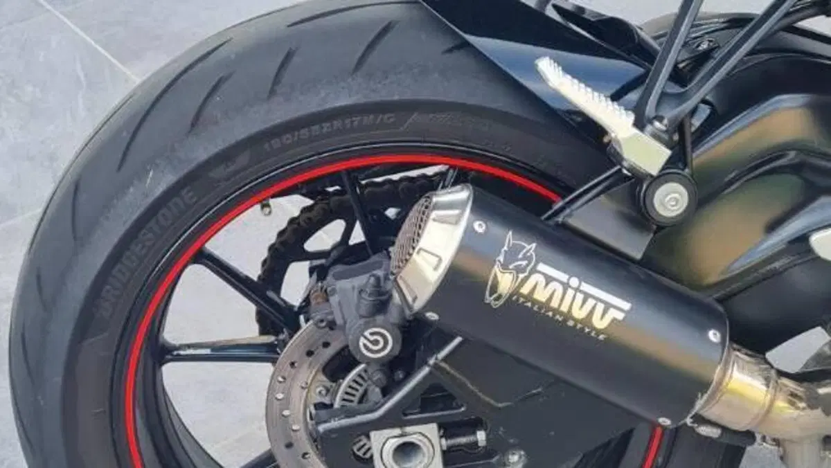 Bmw S 1000 R (2017 - 20)  (6)