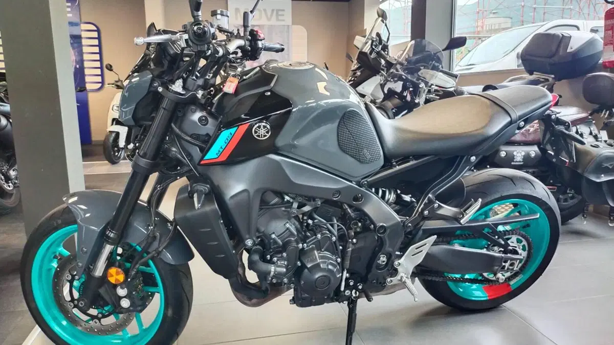 Yamaha MT-09 (2021 - 23)  (6)