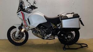 Ducati DesertX (2022 - 25) 
