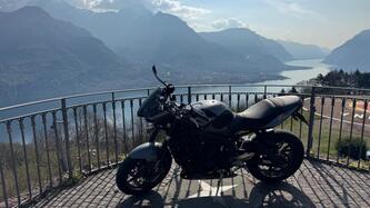 Triumph Street Triple R (2009 - 12) usata
