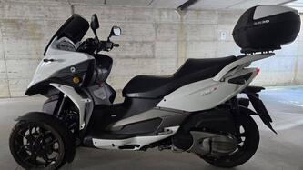 Quadro QV3 350 (2018 - 19) usata