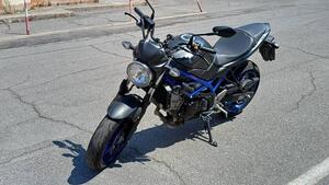Suzuki SV650 (2021 - 24) 
